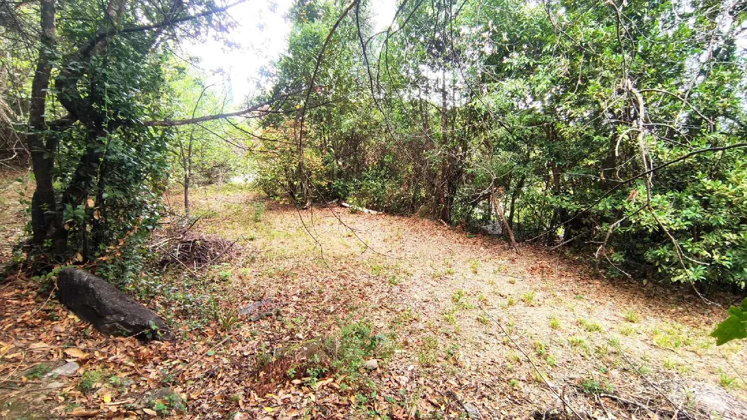 en venta terreno Laroque-des-Albères Pirineo Oriental 3