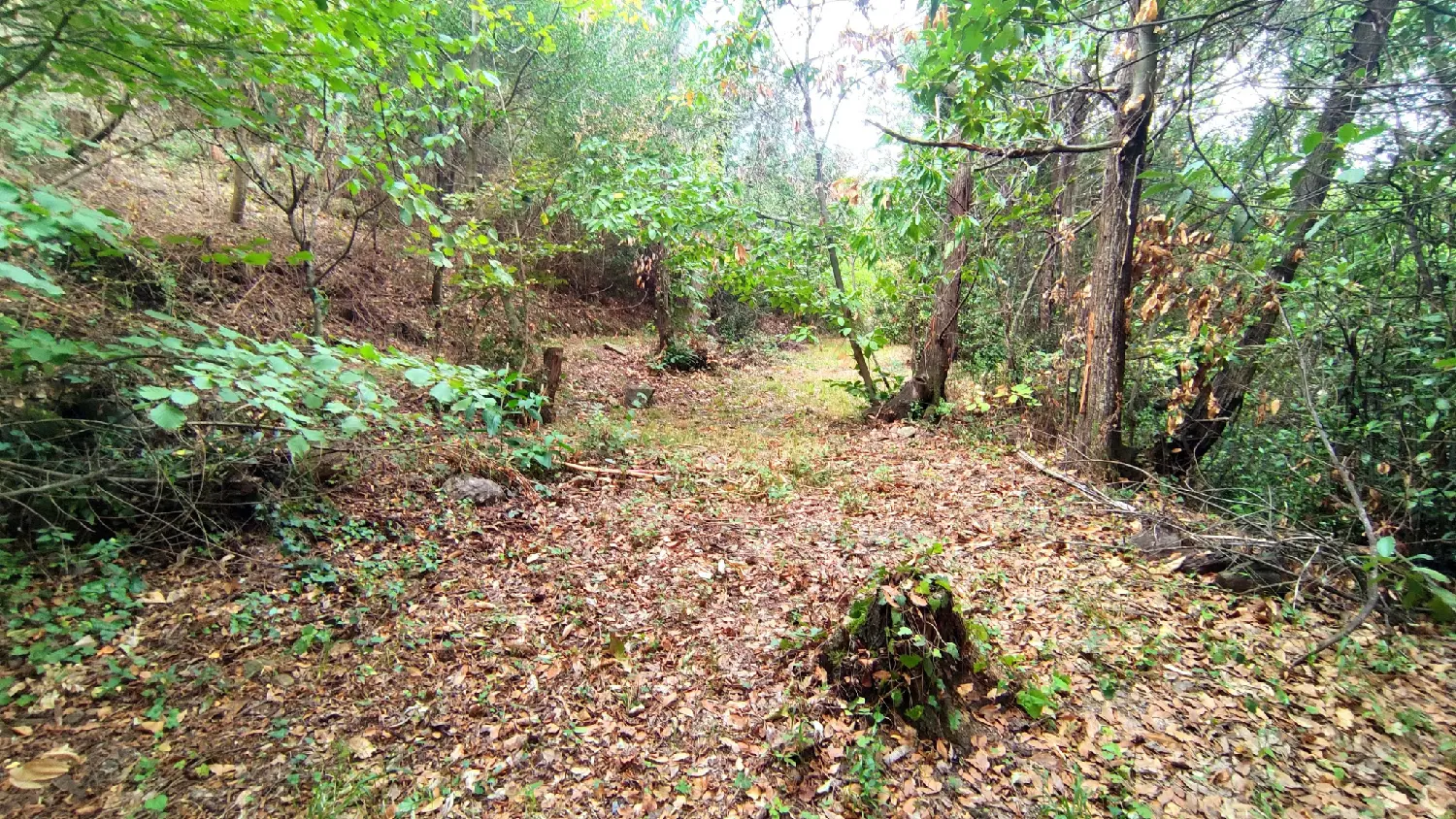  en venta terreno Laroque-des-Albères Pirineo Oriental 6