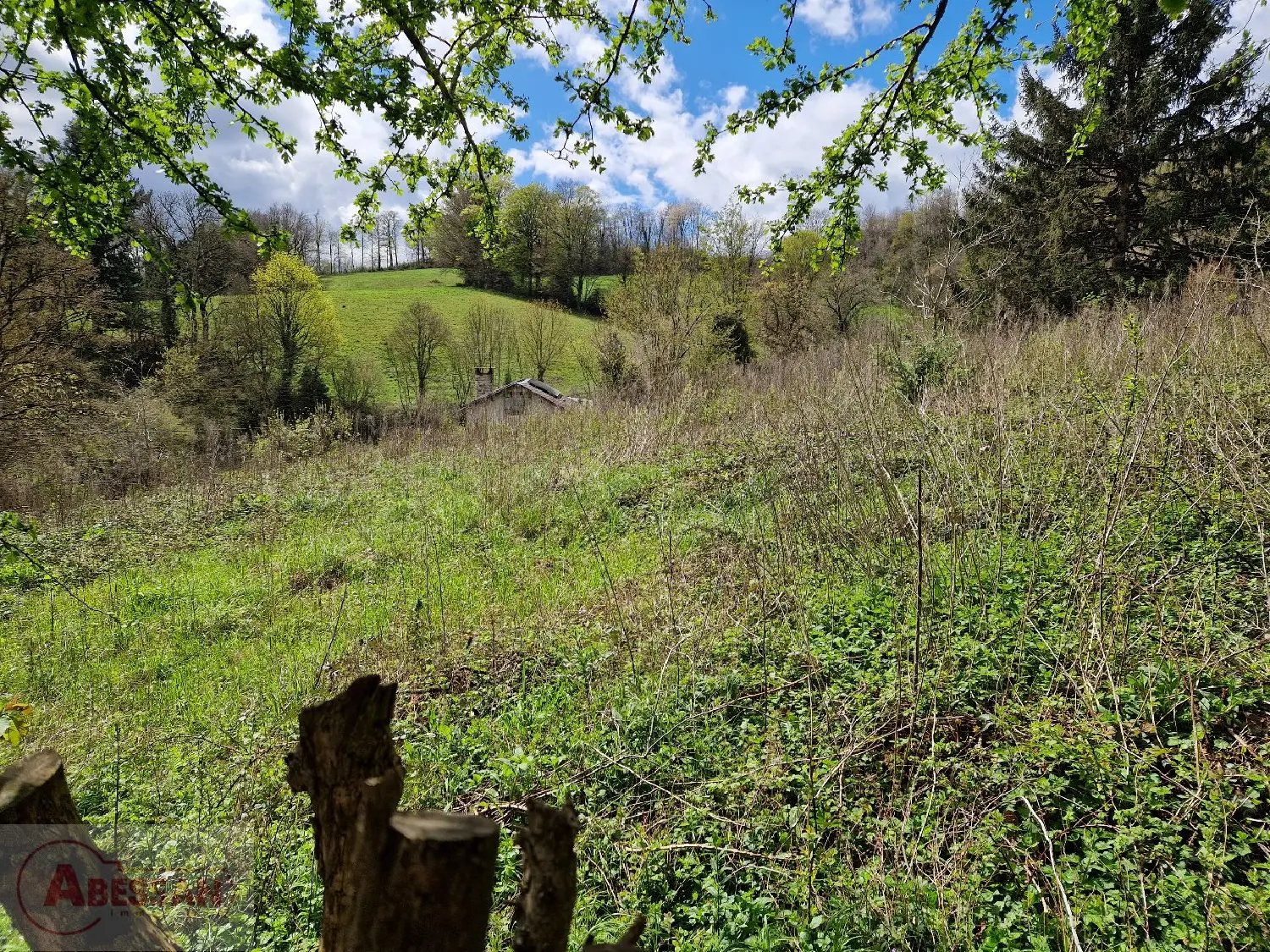  for sale terrain Le Bez Tarn 4