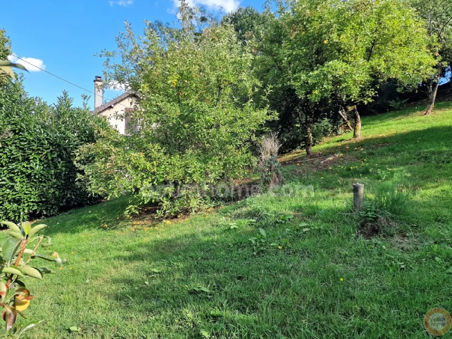  kaufen Grundstück Linas Essonne 4