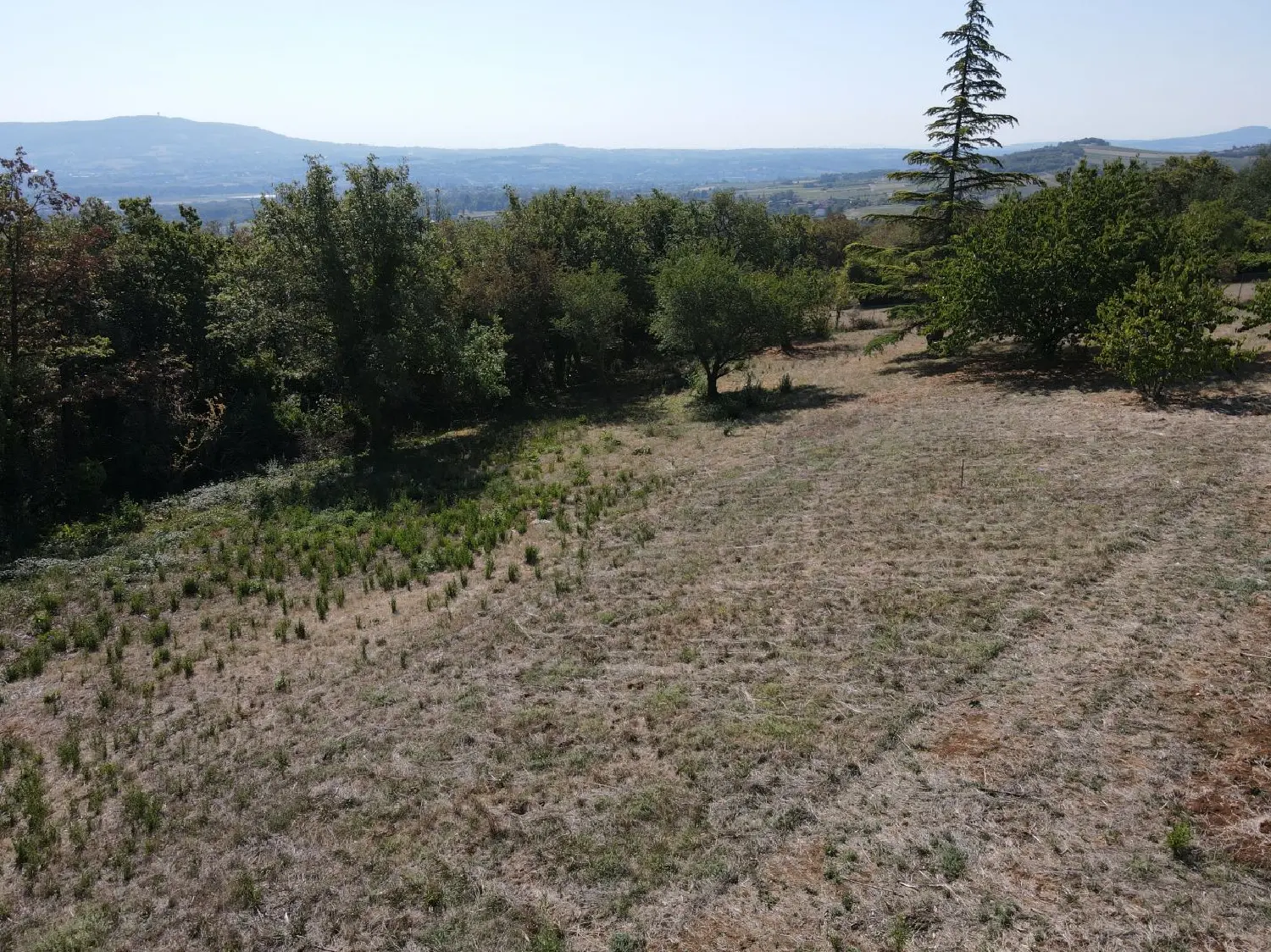  for sale terrain Marcy Rhône 1