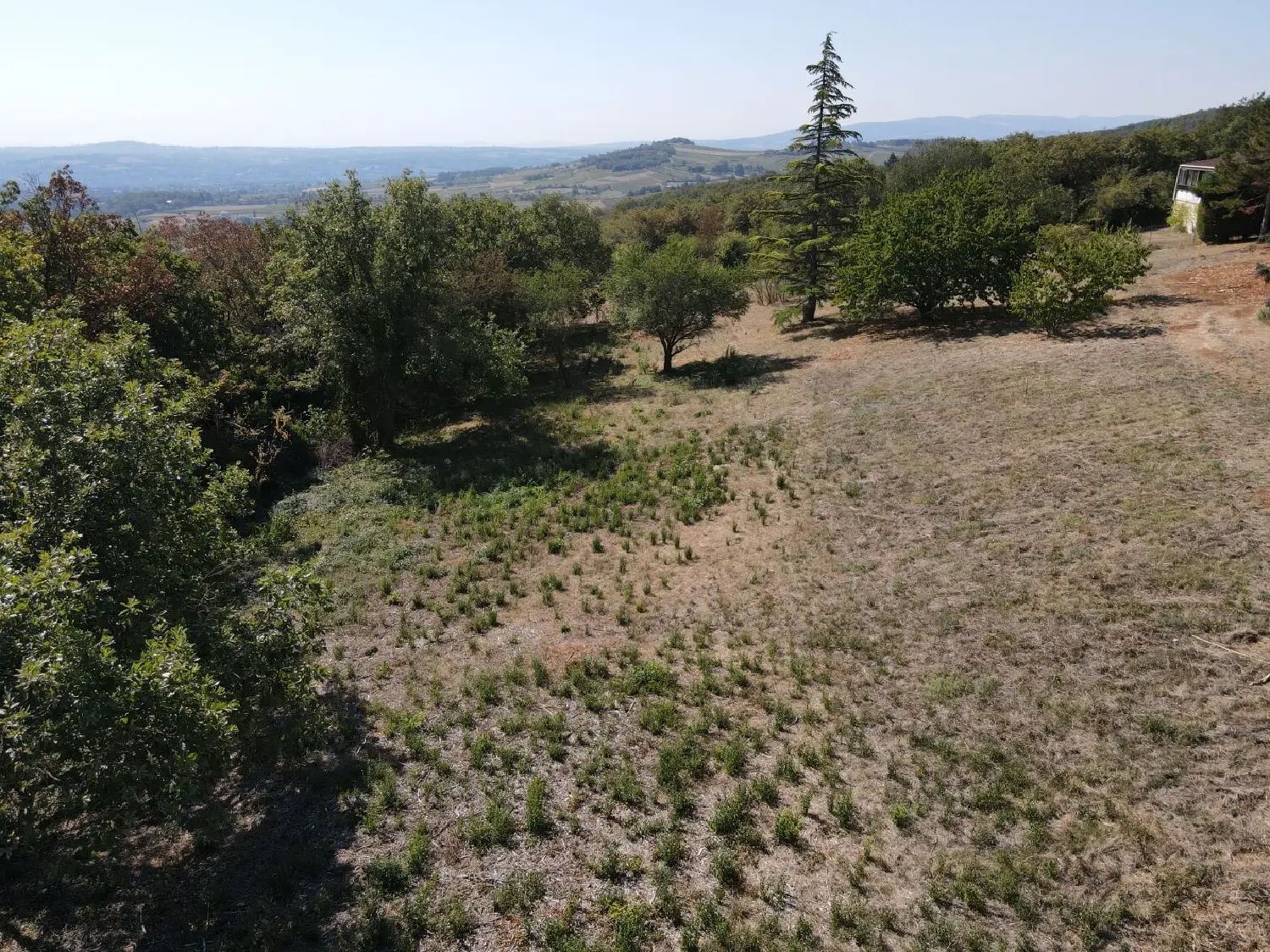  for sale terrain Marcy Rhône 3