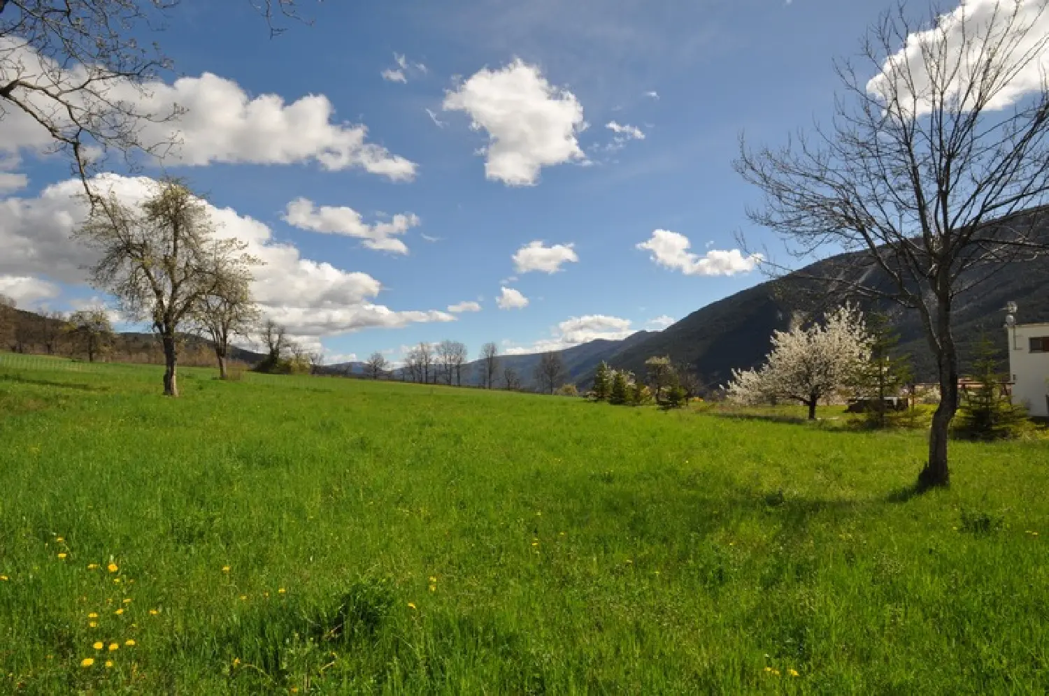  te koop terrein Méailles Alpes-de-Haute-Provence 2