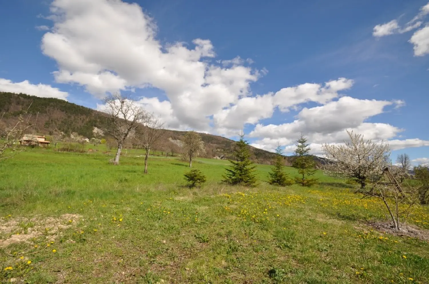  te koop terrein Méailles Alpes-de-Haute-Provence 3