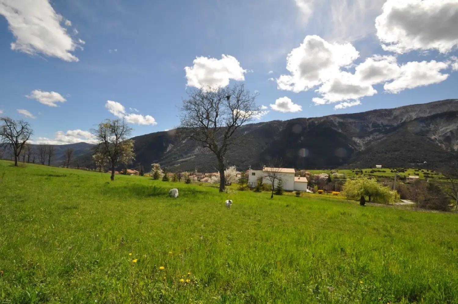  te koop terrein Méailles Alpes-de-Haute-Provence 5