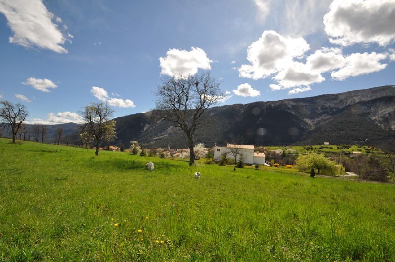  te koop terrein Méailles Alpes-de-Haute-Provence 5
