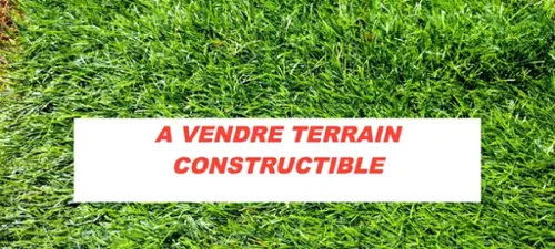 Missillac Loire-Atlantique terreno foto 7133917