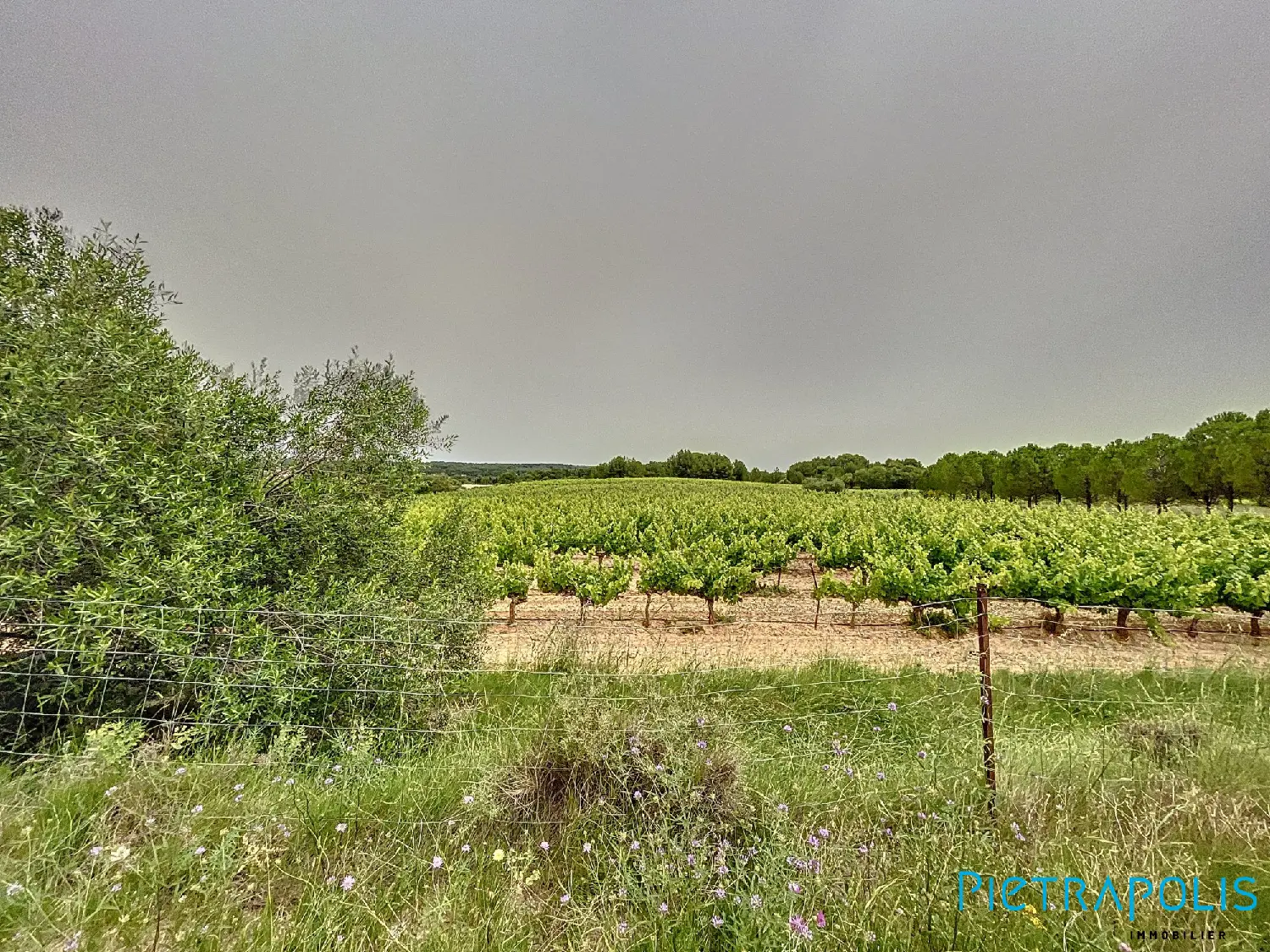  kaufen Grundstück Montagnac Hérault 3