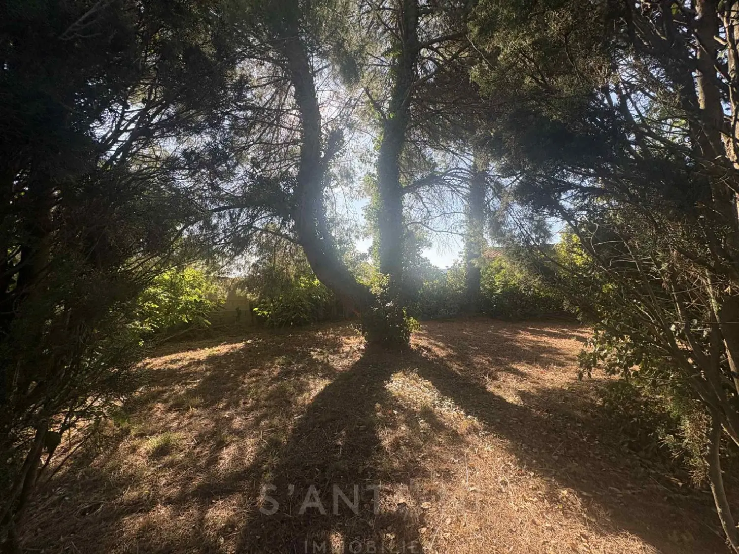 à vendre terrain Montbazin Hérault 2