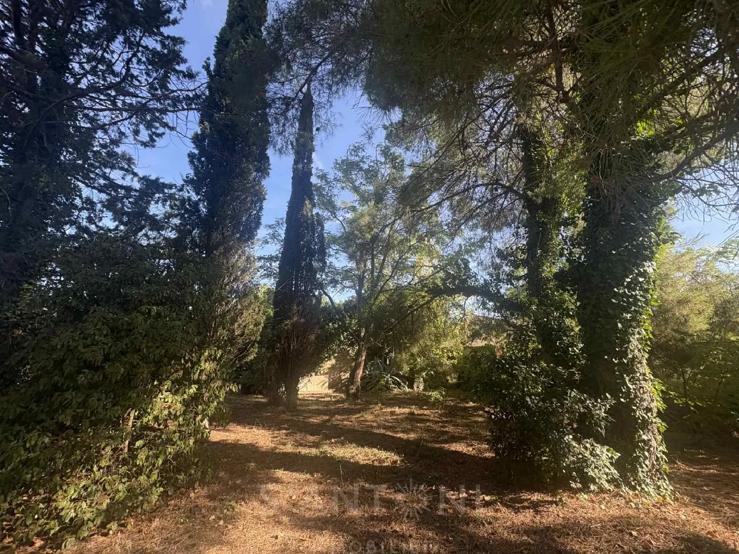  à vendre terrain Montbazin Hérault 3