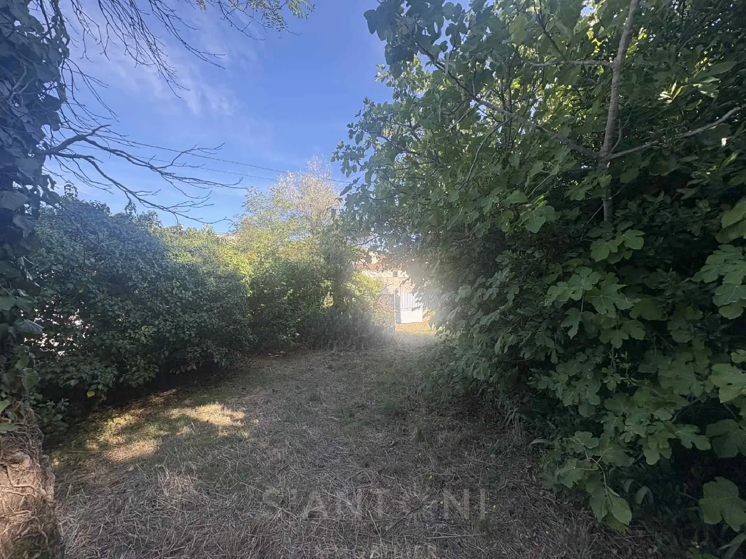  à vendre terrain Montbazin Hérault 4