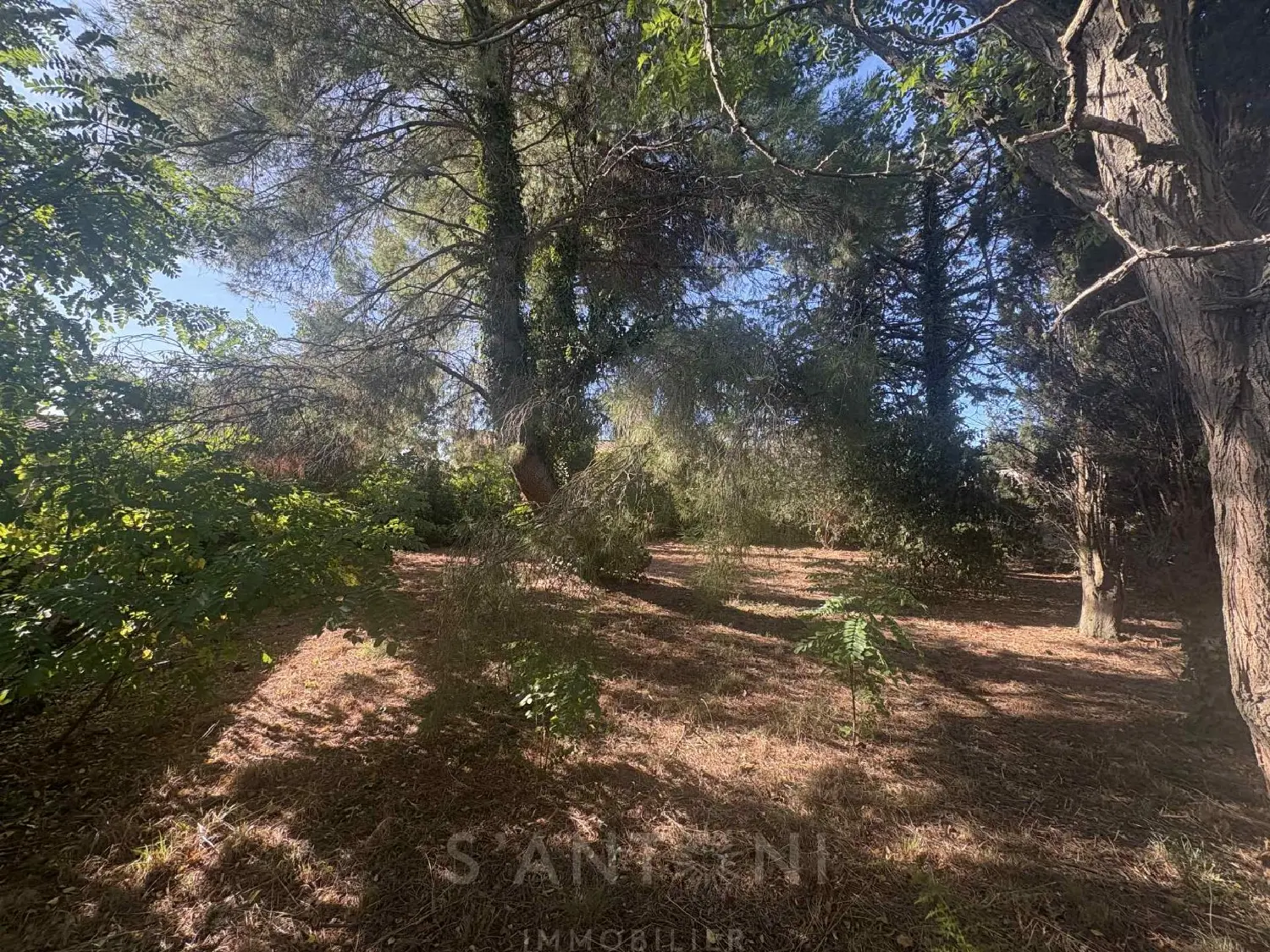  à vendre terrain Montbazin Hérault 5