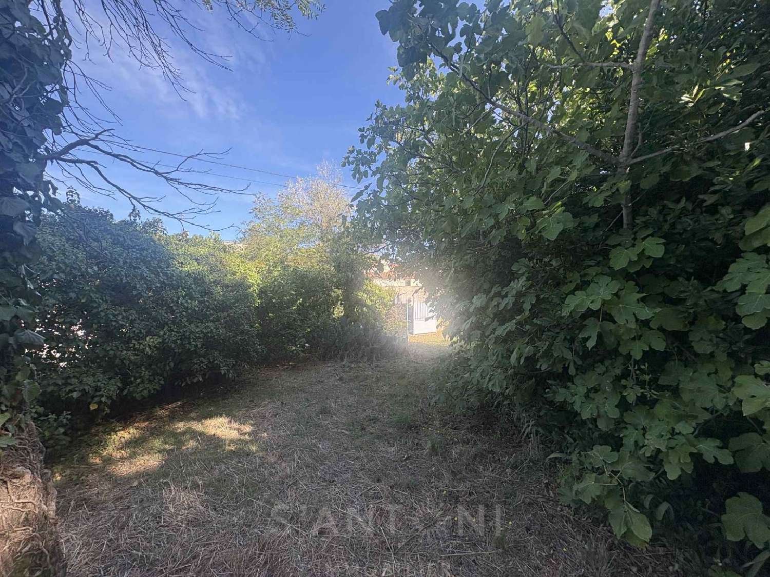  à vendre terrain Montbazin Hérault 4