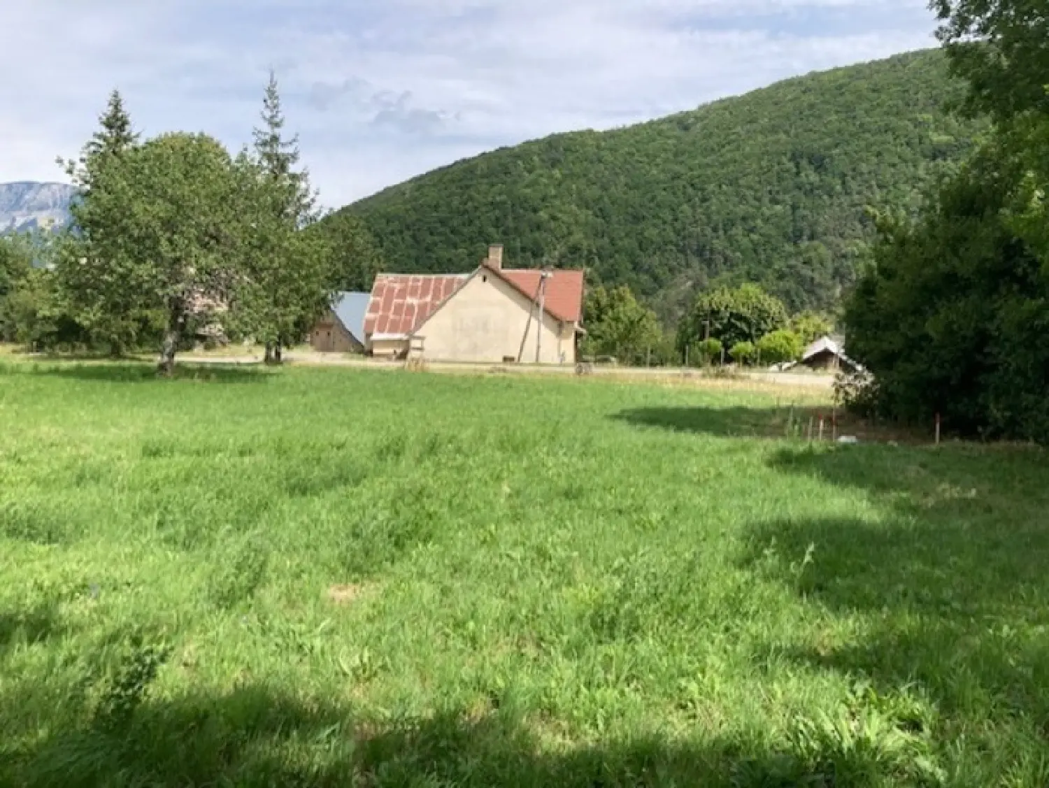  for sale terrain Montbrand Hautes-Alpes 3