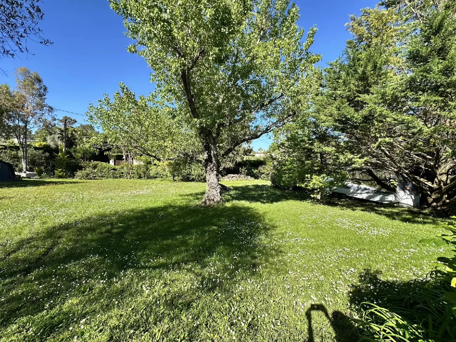  te koop terrein Mougins Alpes-Maritimes 2