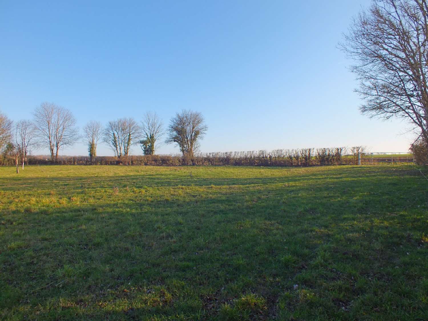  te koop terrein Musigny Côte-d'Or 1