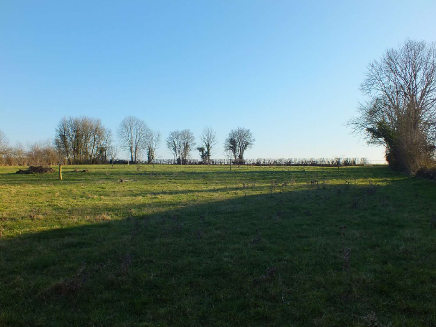  te koop terrein Musigny Côte-d'Or 2