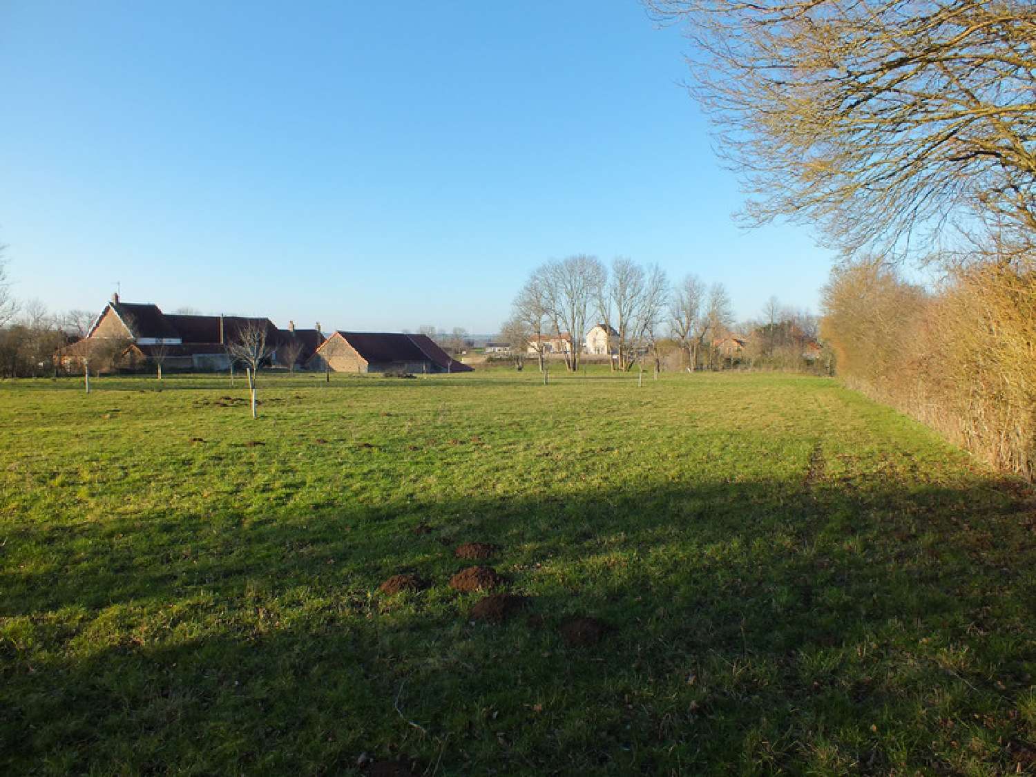  te koop terrein Musigny Côte-d'Or 4