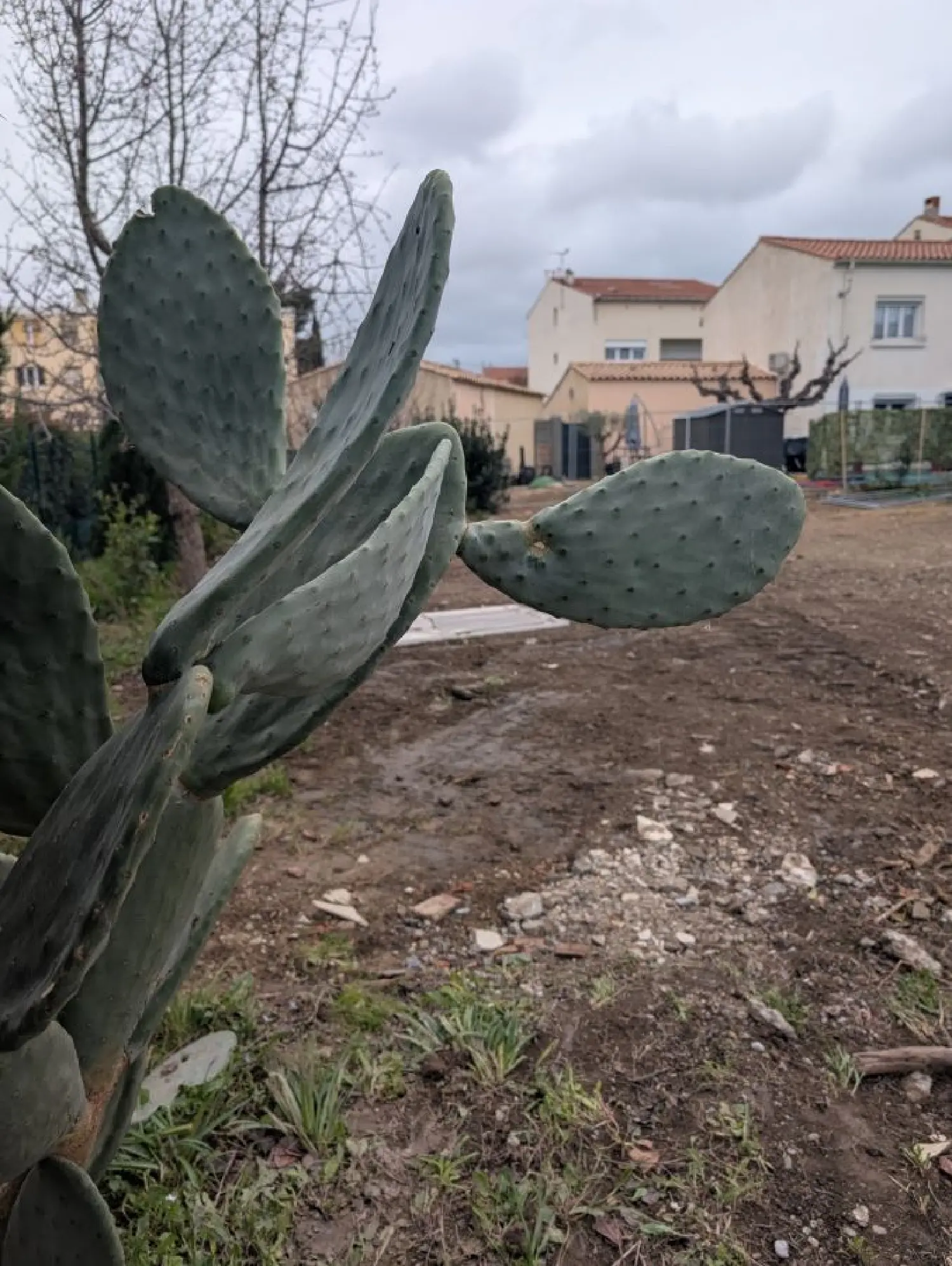  kaufen Grundstück Narbonne Aude 3