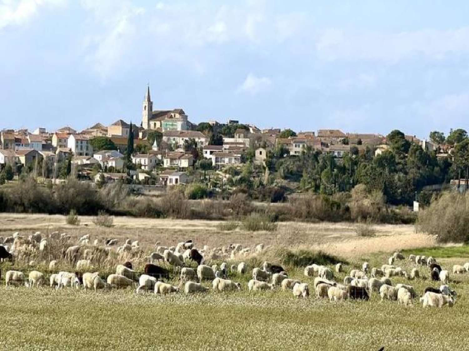  te koop terrein Ouveillan Aude 1