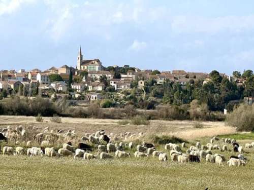 Ouveillan Aude terrein foto 7137786