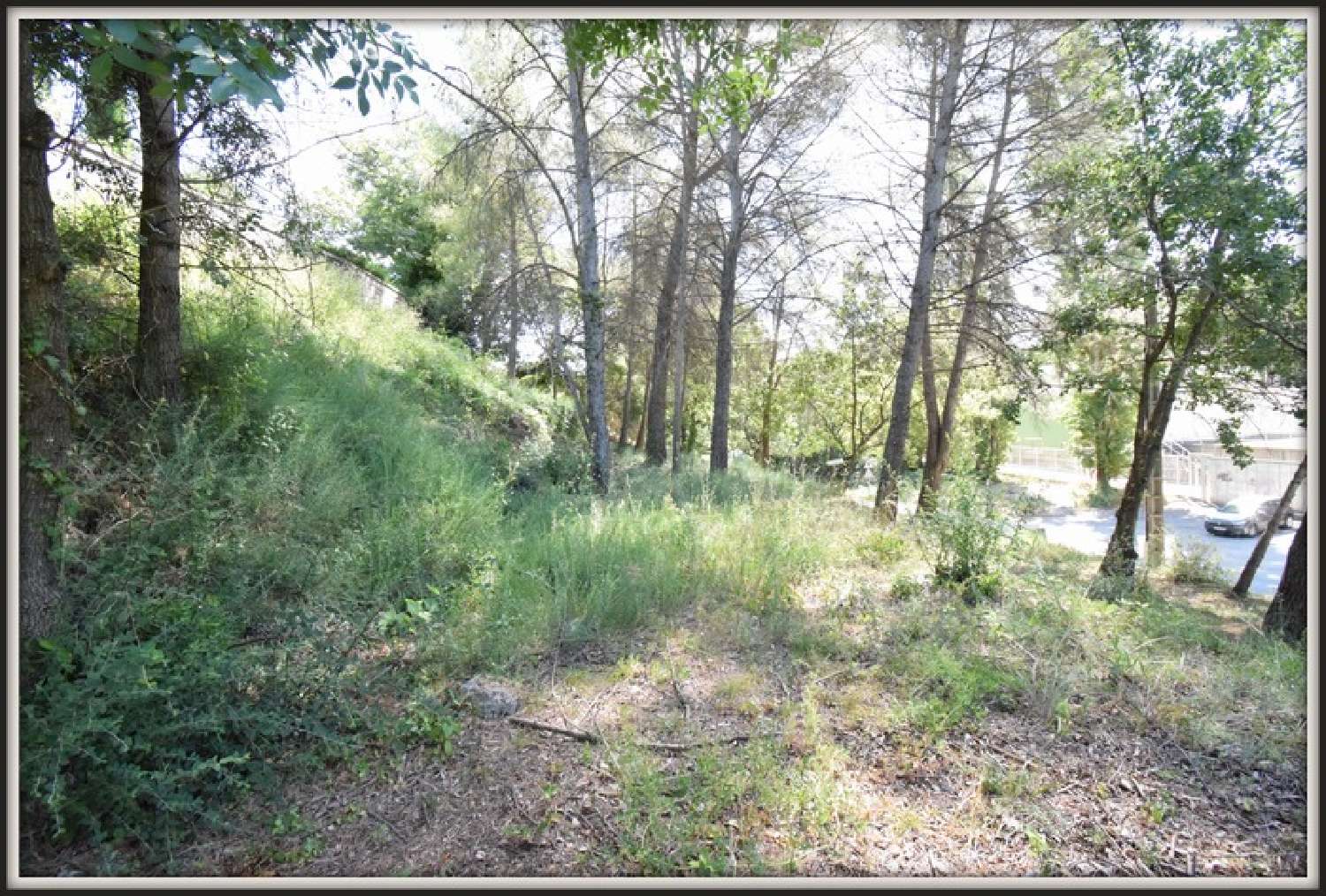  en venta terreno Plascassier Alpes-Maritimes 6
