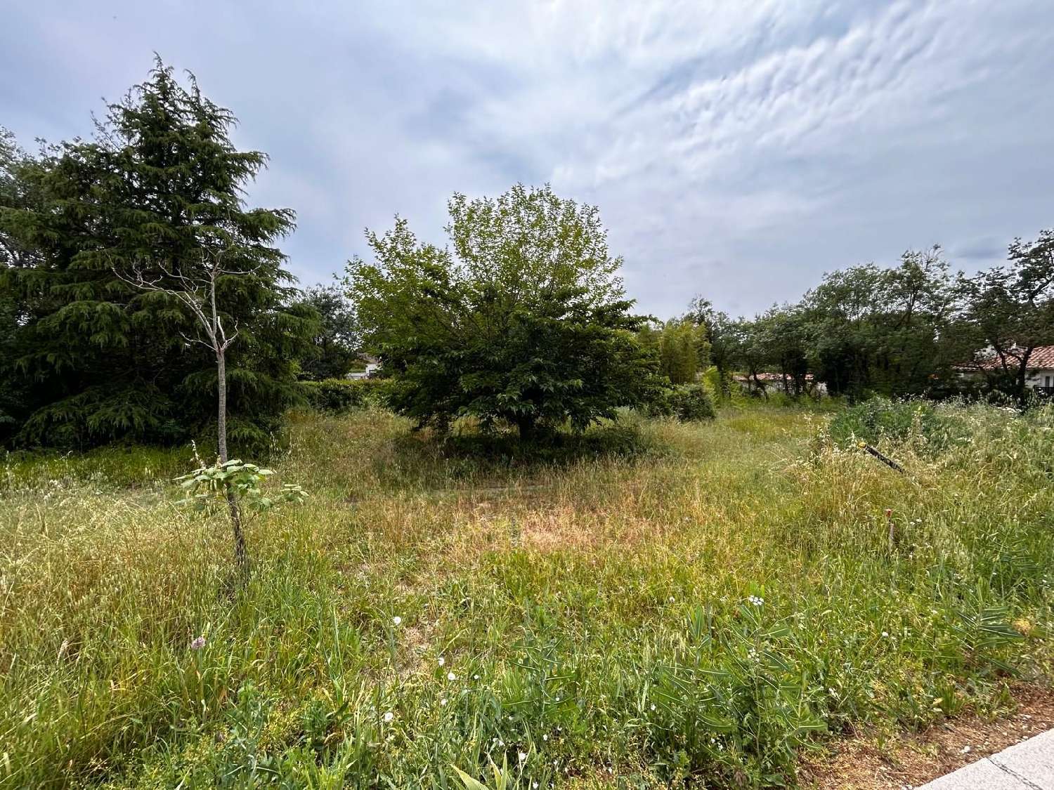  te koop terrein Prades-le-Lez Hérault 1