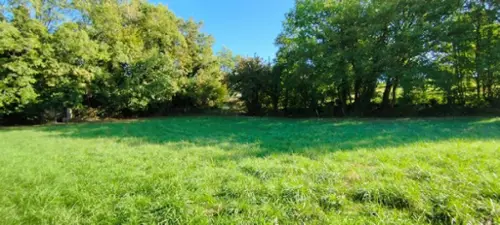 Pranzac Charente terrein foto 7135961