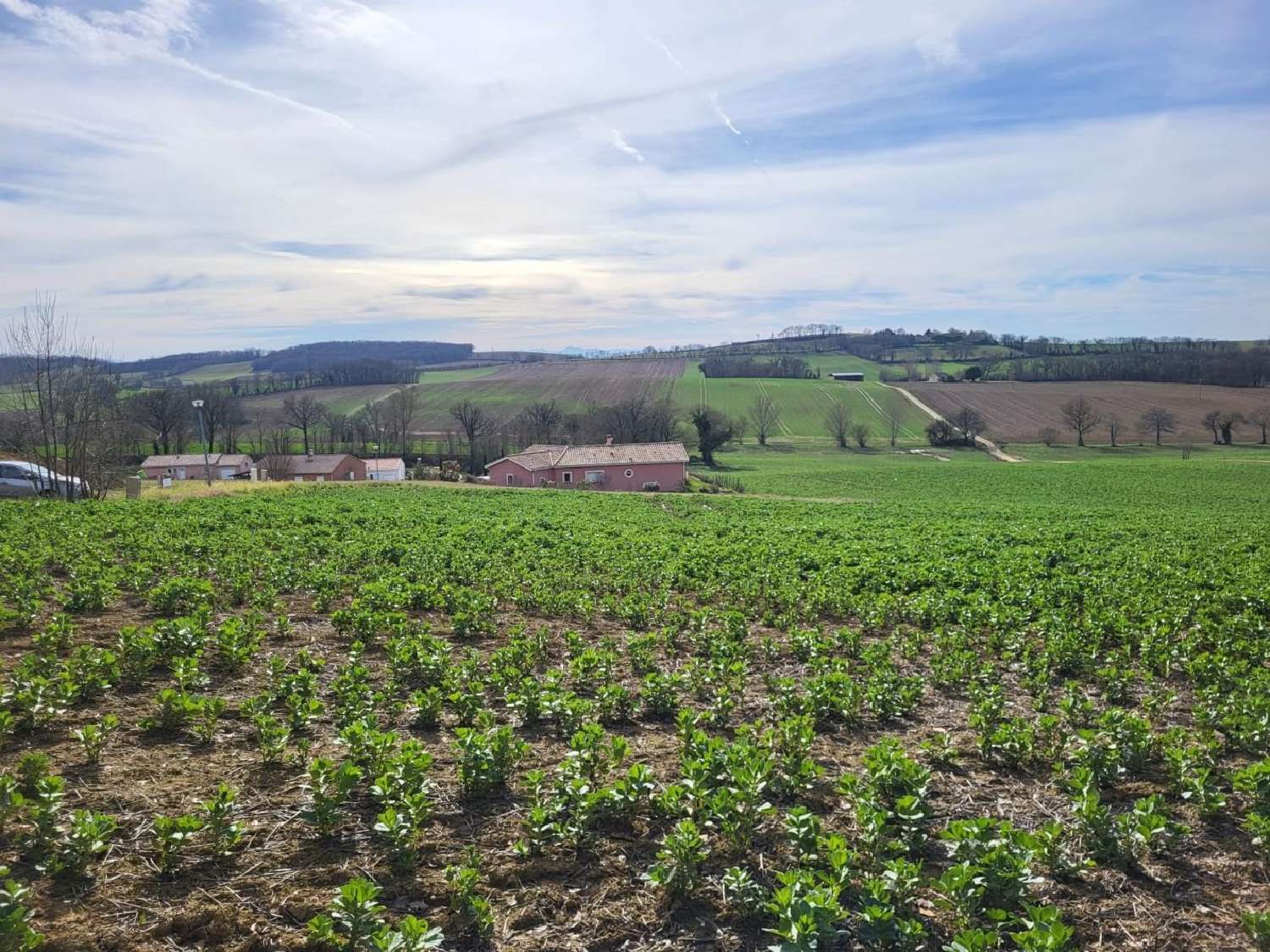  for sale terrain Puycasquier Gers 1