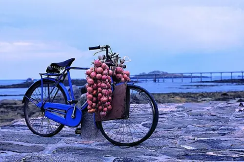 Roscoff Finistère terreno foto 7132950