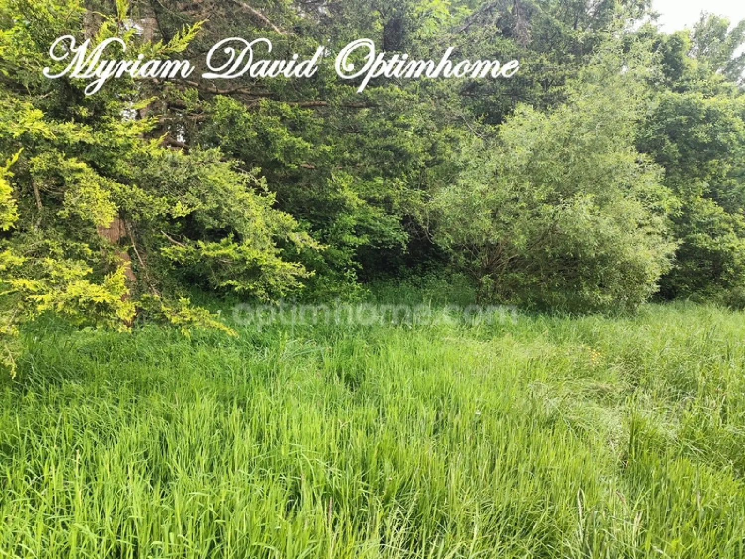 te koop terrein Rostrenen Côtes-d'Armor 3