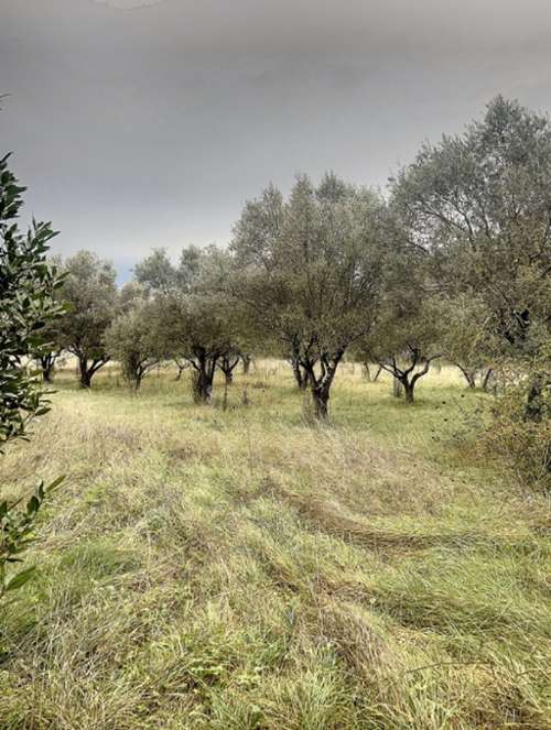 Rousson Yonne terrein foto 7144350
