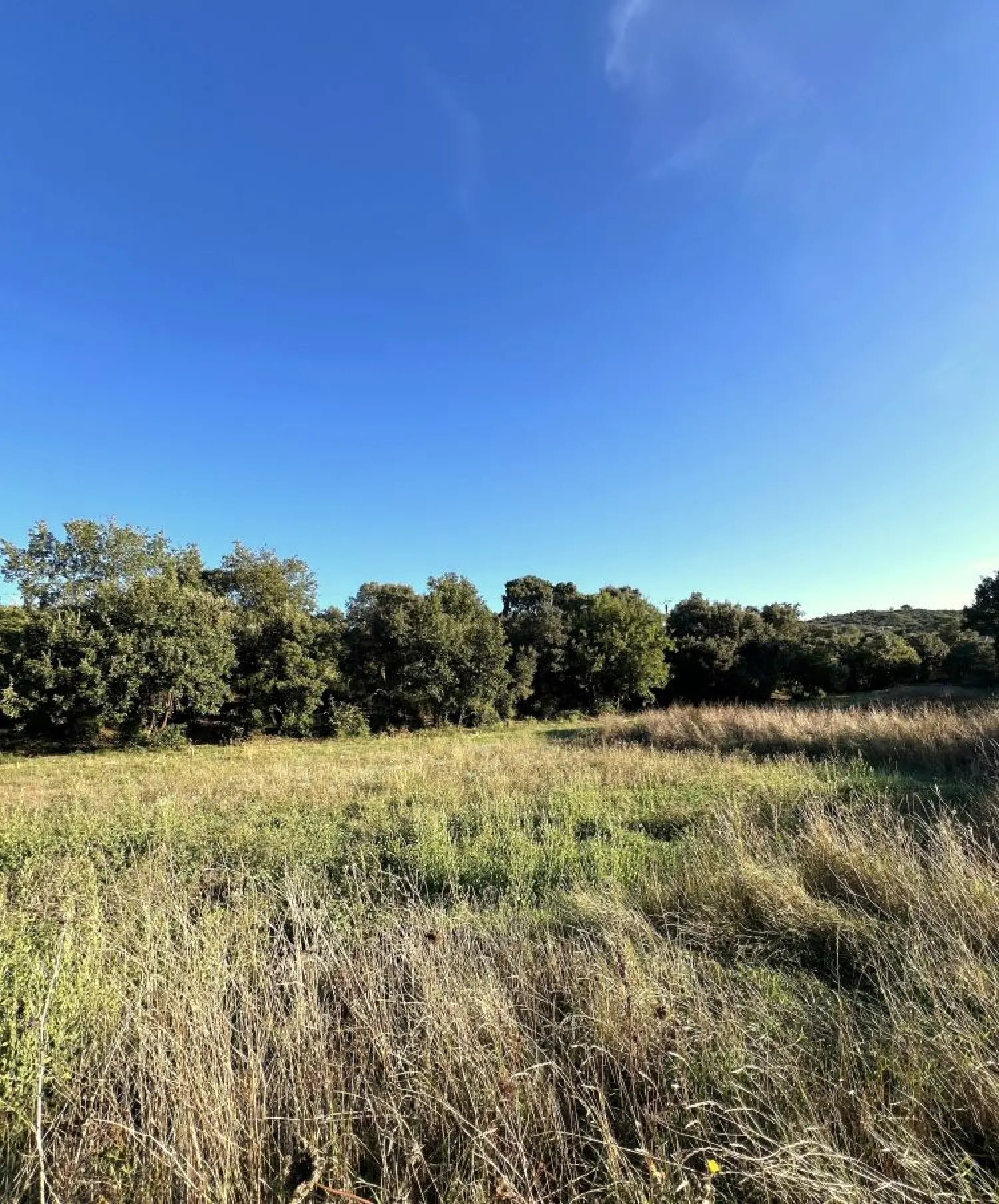  te koop terrein Saint-Bénézet Gard 1