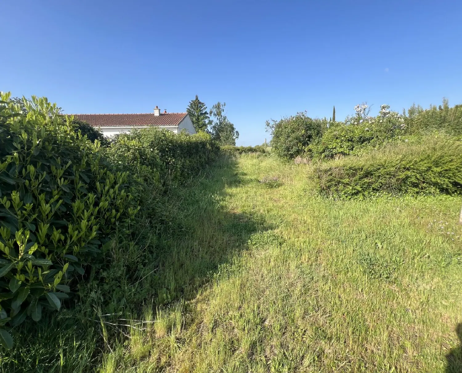  for sale terrain Saint-Fiacre-sur-Maine Loire-Atlantique 3