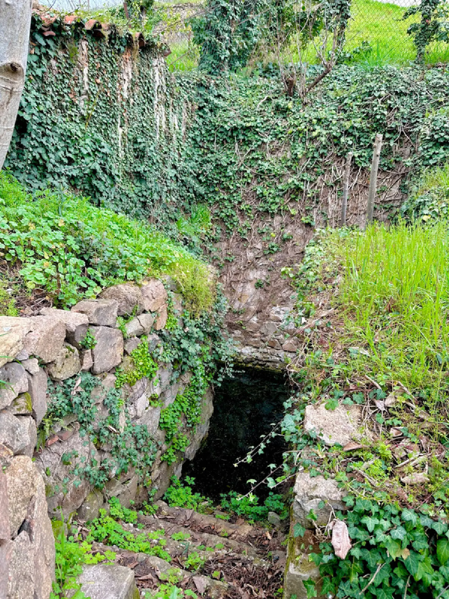  te koop terrein Saint-Forgeux Rhône 8