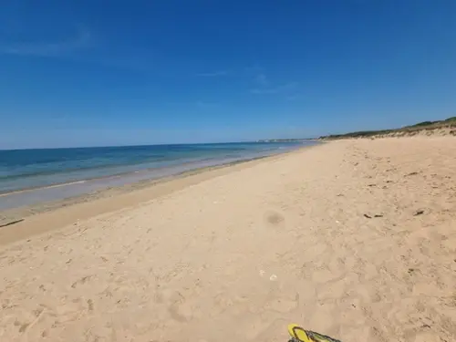 Saint-Georges-d'Oléron Charente-Maritime terrain foto 7131301