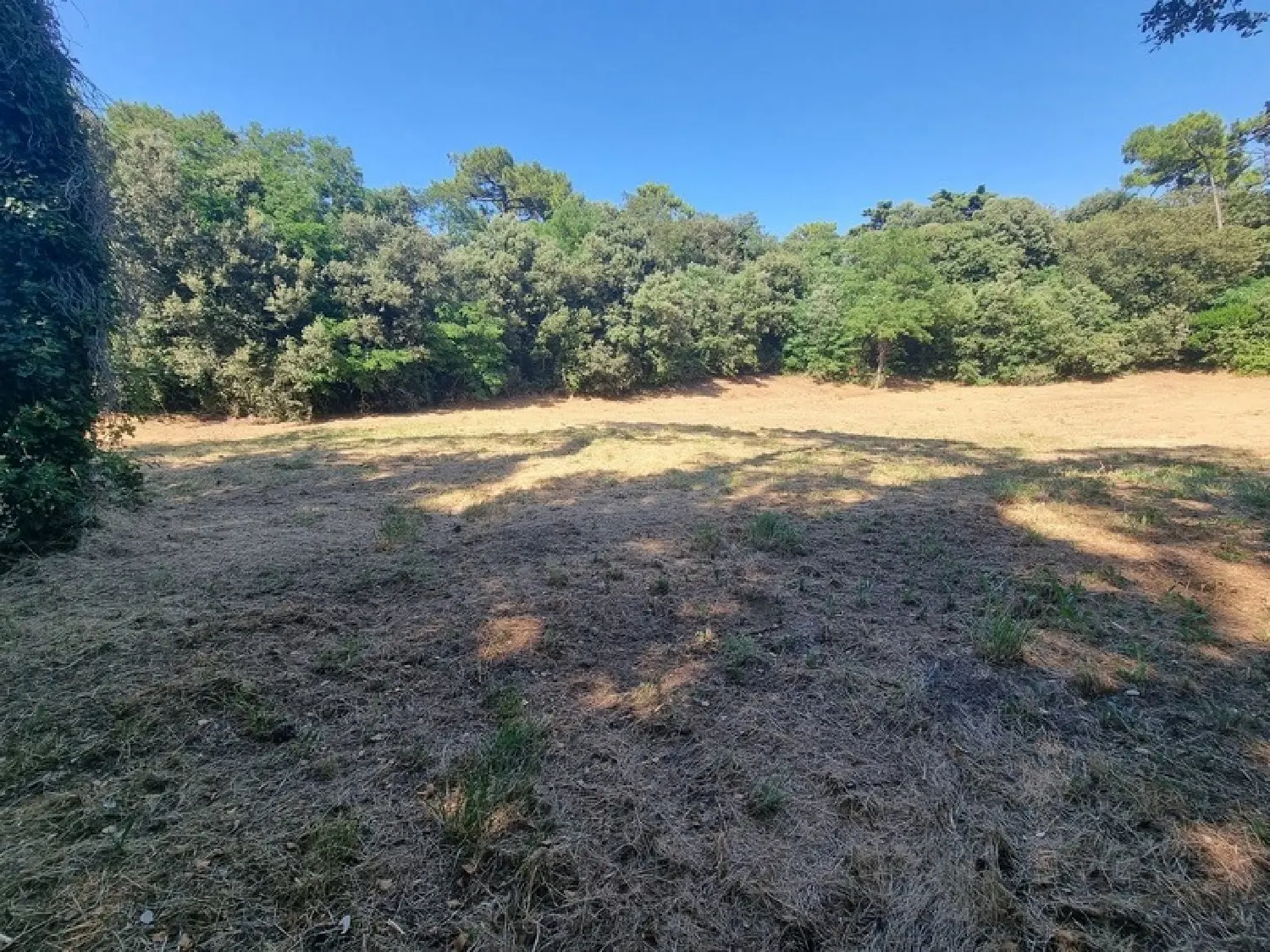  for sale terrain Saint-Georges-d'Oléron Charente-Maritime 4