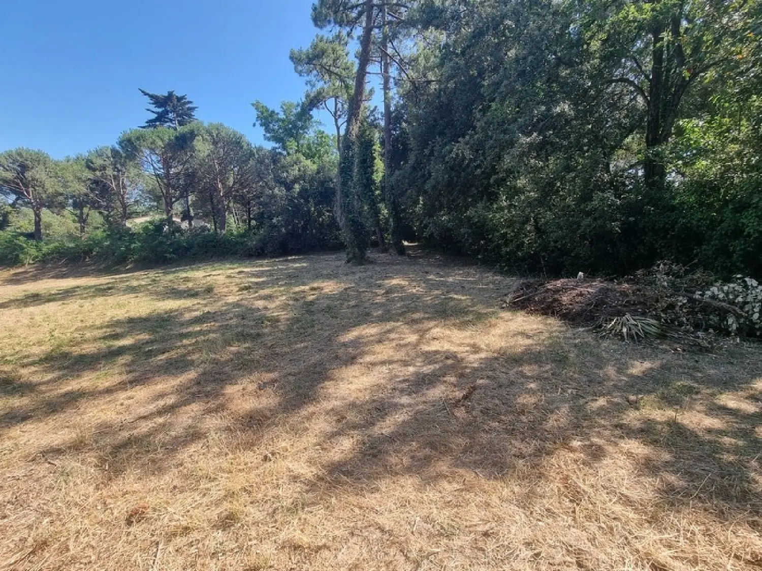  for sale terrain Saint-Georges-d'Oléron Charente-Maritime 5
