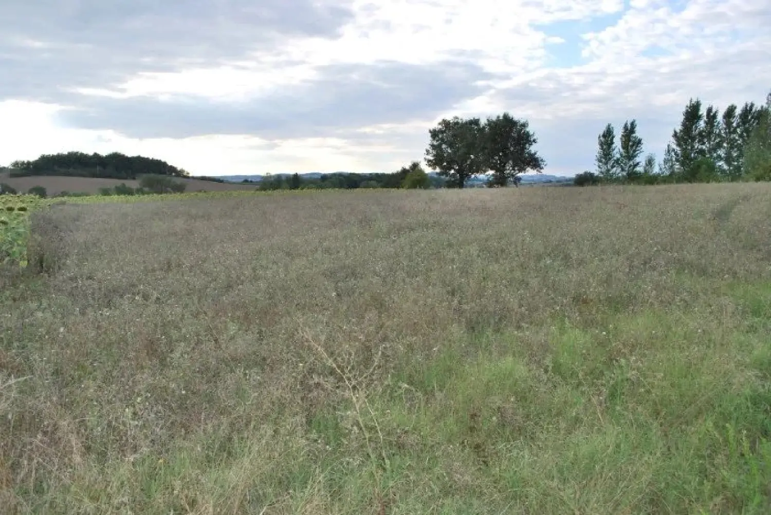  for sale terrain Saint-Germier Tarn 2