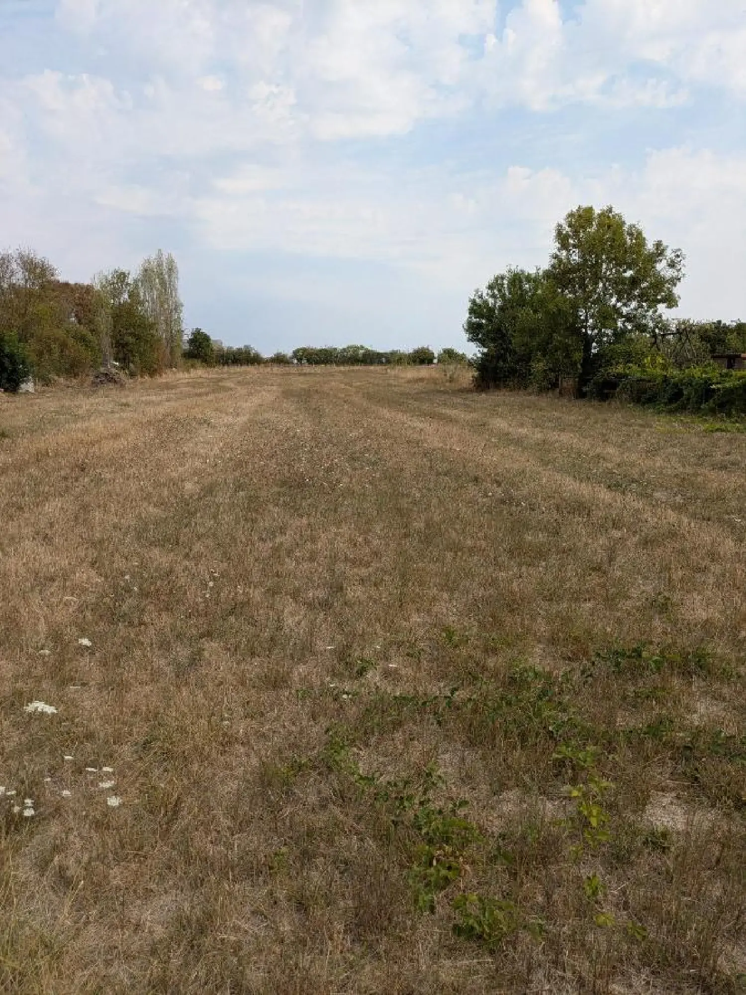  kaufen Grundstück Saint-Hilaire-la-Palud Deux-Sèvres 1