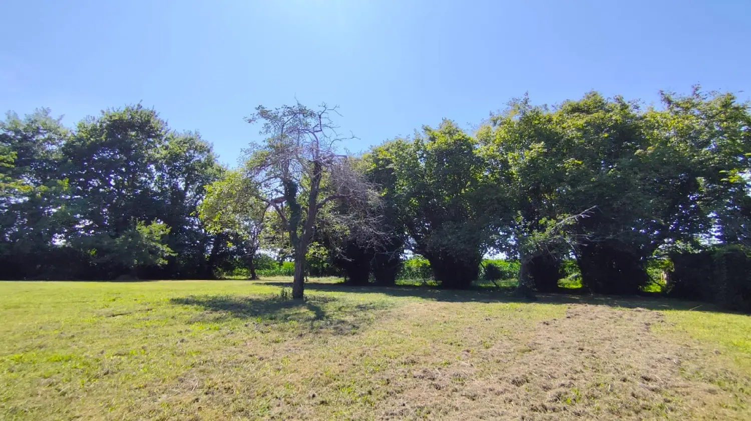  te koop terrein Saint-Jean-de-Marsacq Landes 1