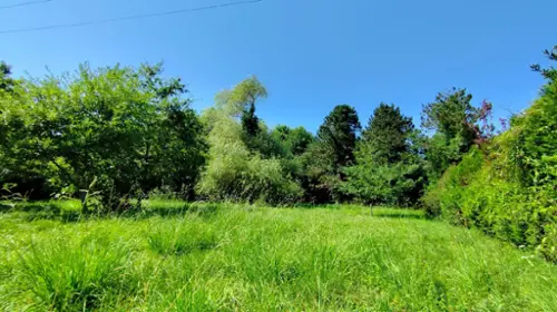Saint-Jean-de-Marsacq Landes terrein foto 7136139