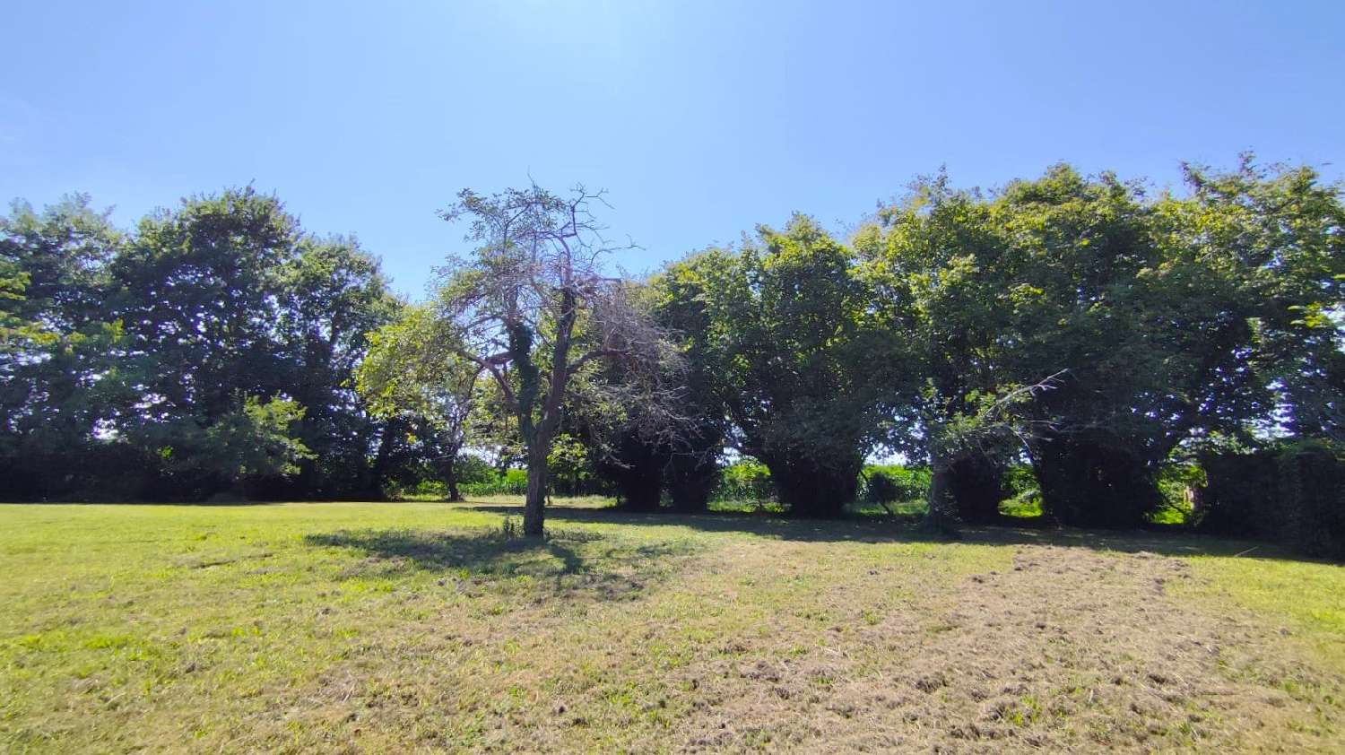  te koop terrein Saint-Jean-de-Marsacq Landes 1