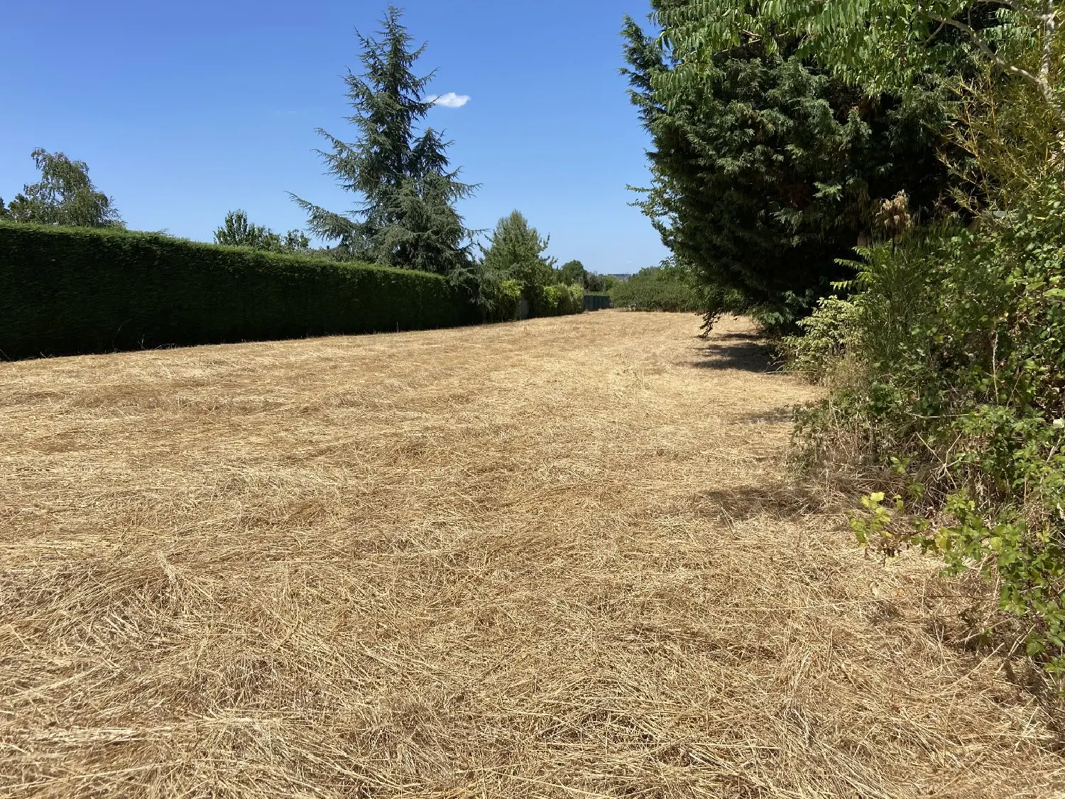  te koop terrein Saint-Lambert-du-Lattay Maine-et-Loire 1