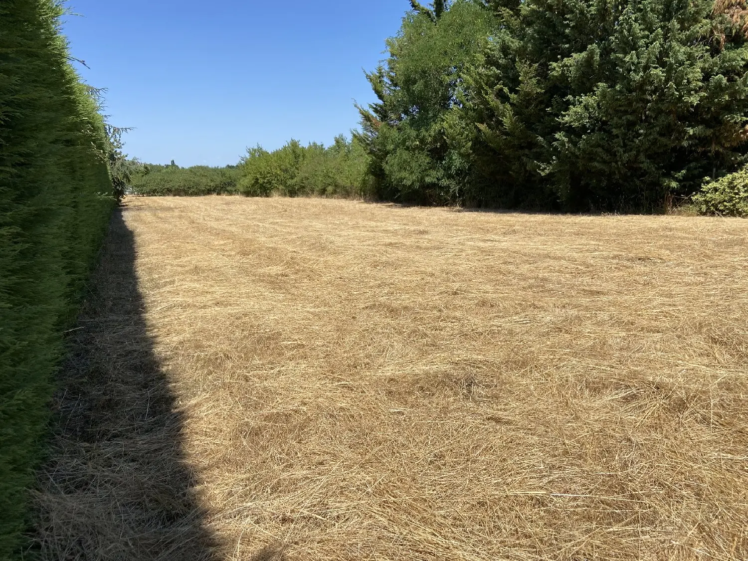  te koop terrein Saint-Lambert-du-Lattay Maine-et-Loire 2