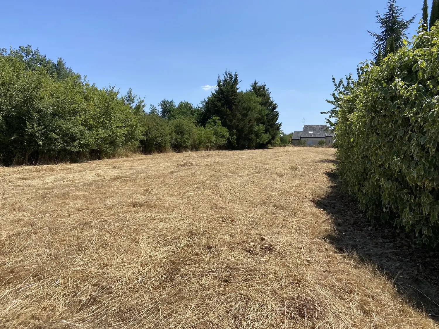  te koop terrein Saint-Lambert-du-Lattay Maine-et-Loire 3