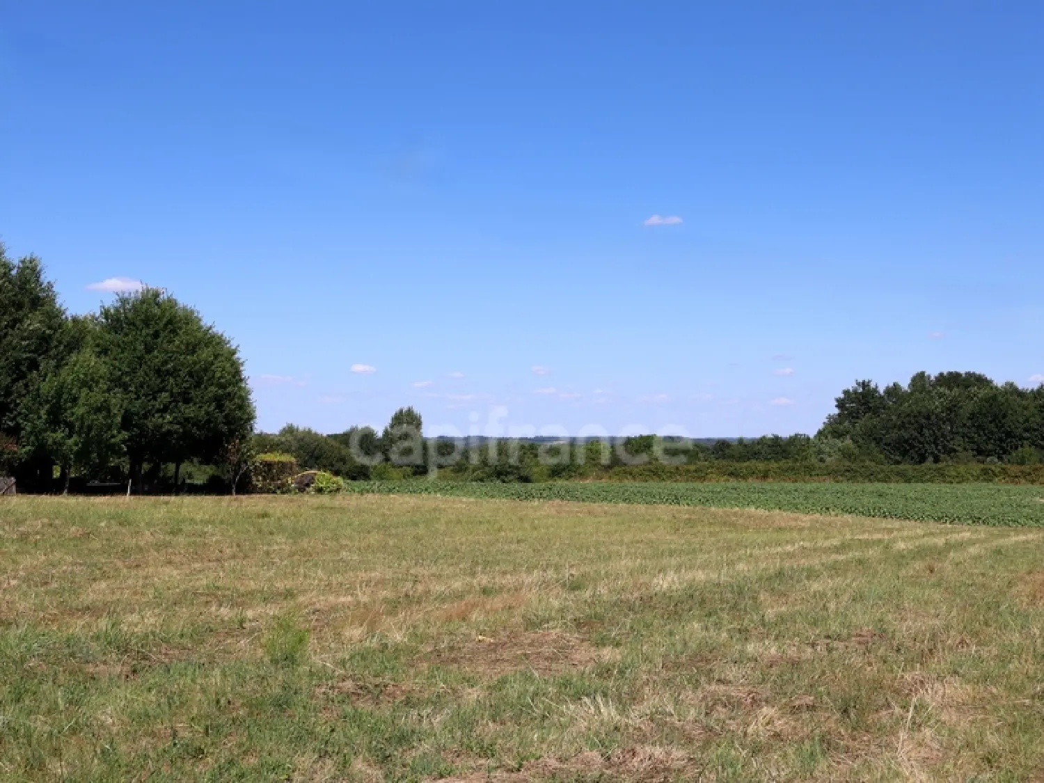  te koop terrein Saint-Palais-de-Négrignac Charente-Maritime 1