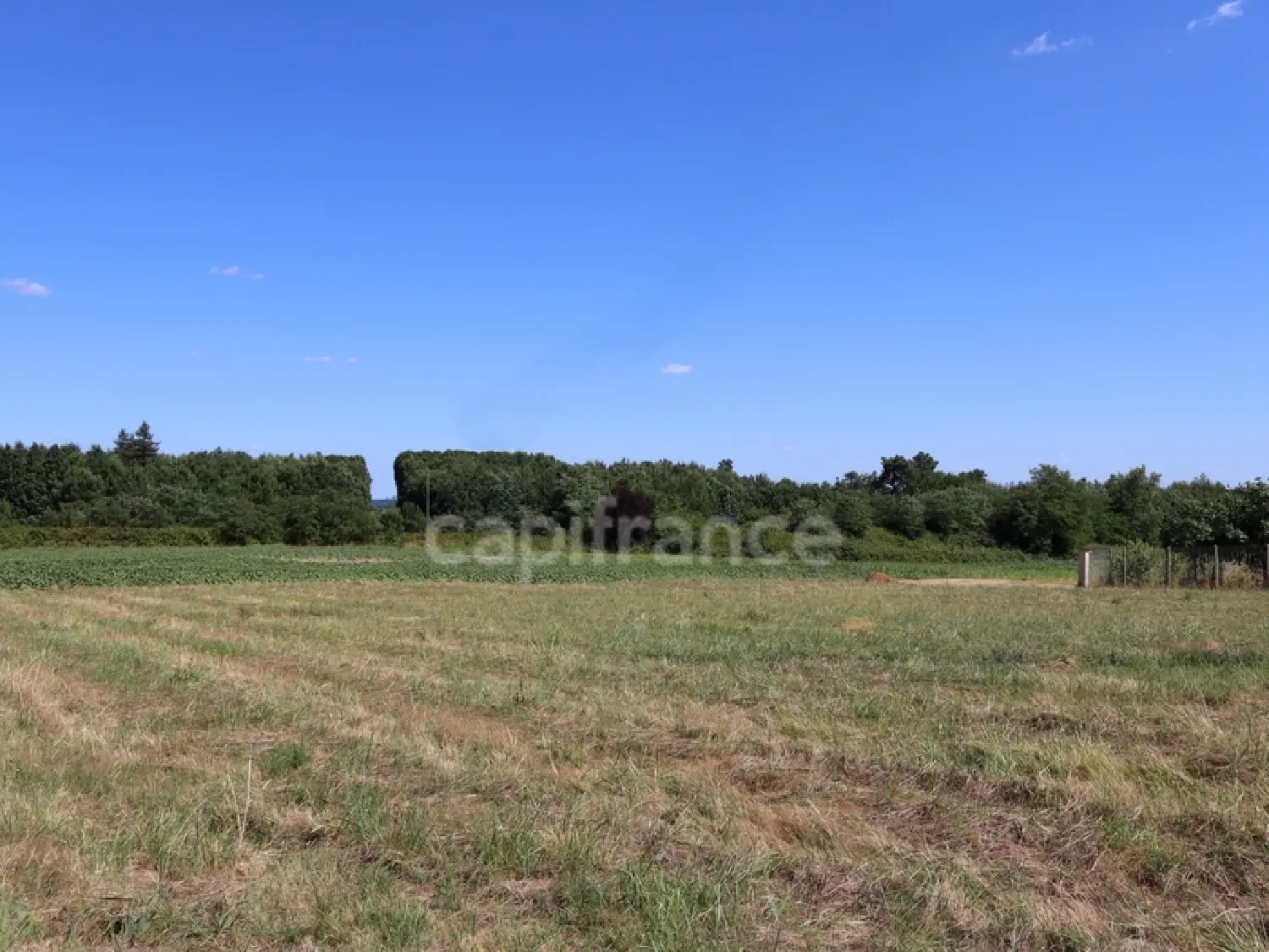  te koop terrein Saint-Palais-de-Négrignac Charente-Maritime 2
