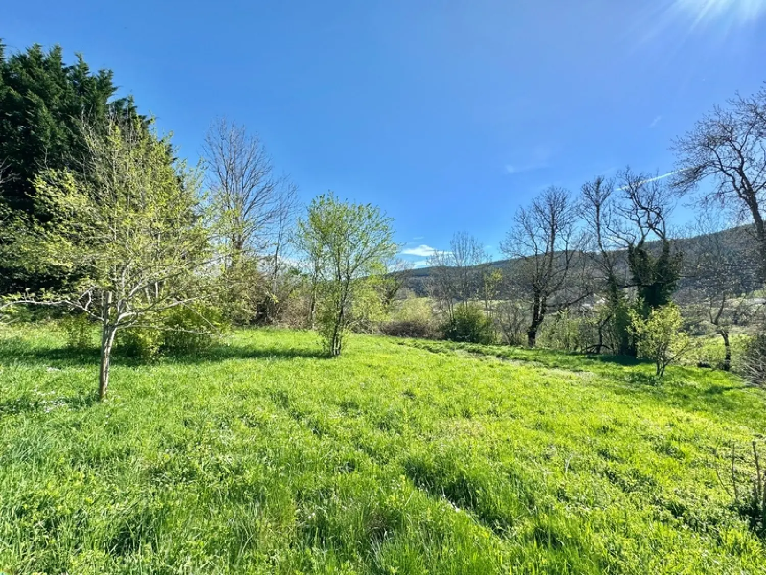  te koop terrein Saint-Priest-la-Prugne Loire 1