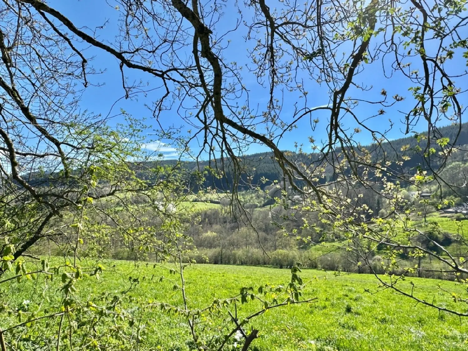  te koop terrein Saint-Priest-la-Prugne Loire 2